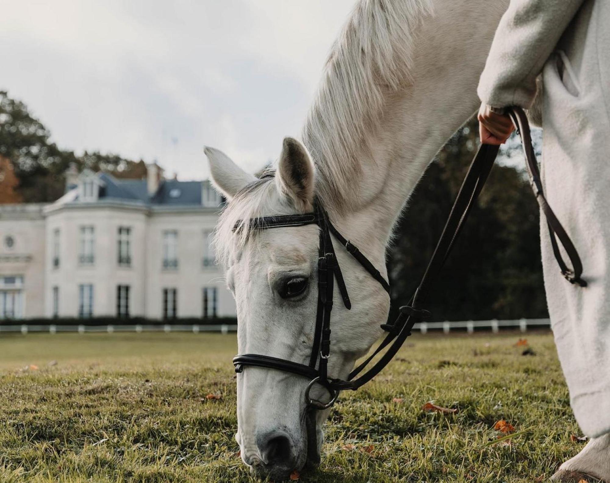 Hotel Demeures De Campagne Domaine De Maffliers - Paris Val-D'Oise Kültér fotó